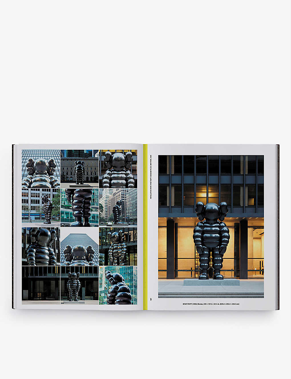 KAWS - KAWS: What Party Catalogue