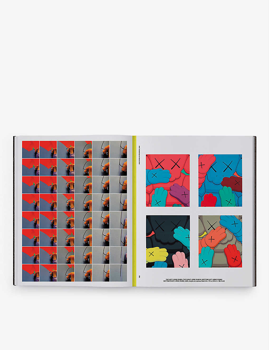 KAWS - KAWS: What Party Catalogue